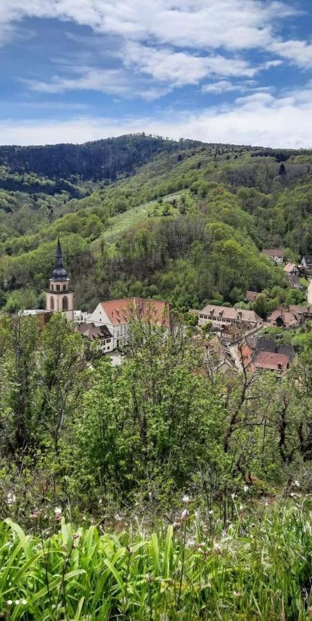 Apartamento Gite A Andlau Exterior foto